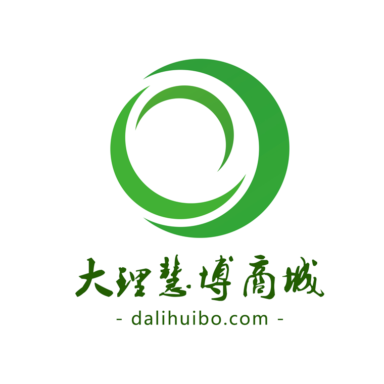 大(dà)理慧博logo設計